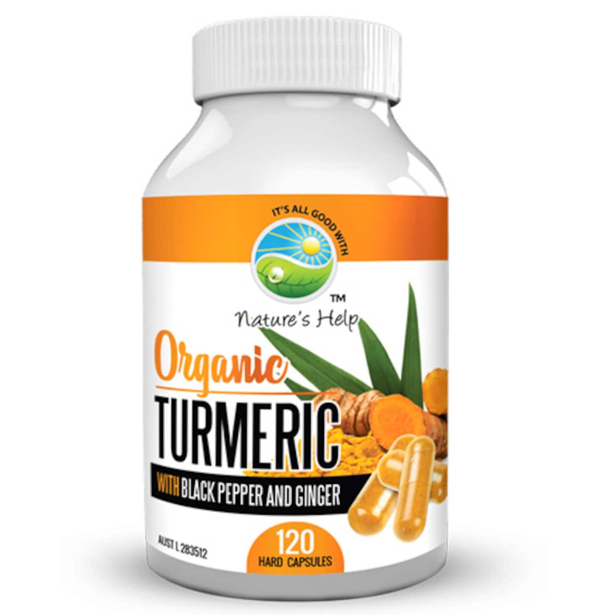 Nature's Help Organic Turmeric With Black Pepper And Ginger 120 Capsules