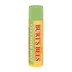 Burts Bees Cucumber & Mint Lip Balm 4.25G