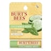 Burts Bees Cucumber & Mint Lip Balm 4.25G