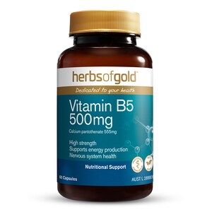 Herbs of Gold Vitamin B5 500mg 60 Capsules