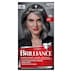 Schwarzkopf Brilliance Permanent Hair Colour 95 Smoky Grey