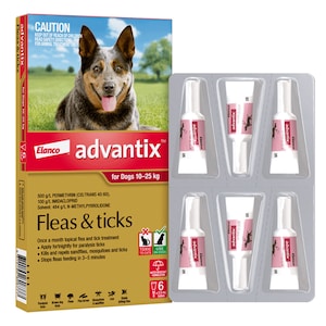 Advantix for Large Dogs 10 - 25kg Red 6 Pack