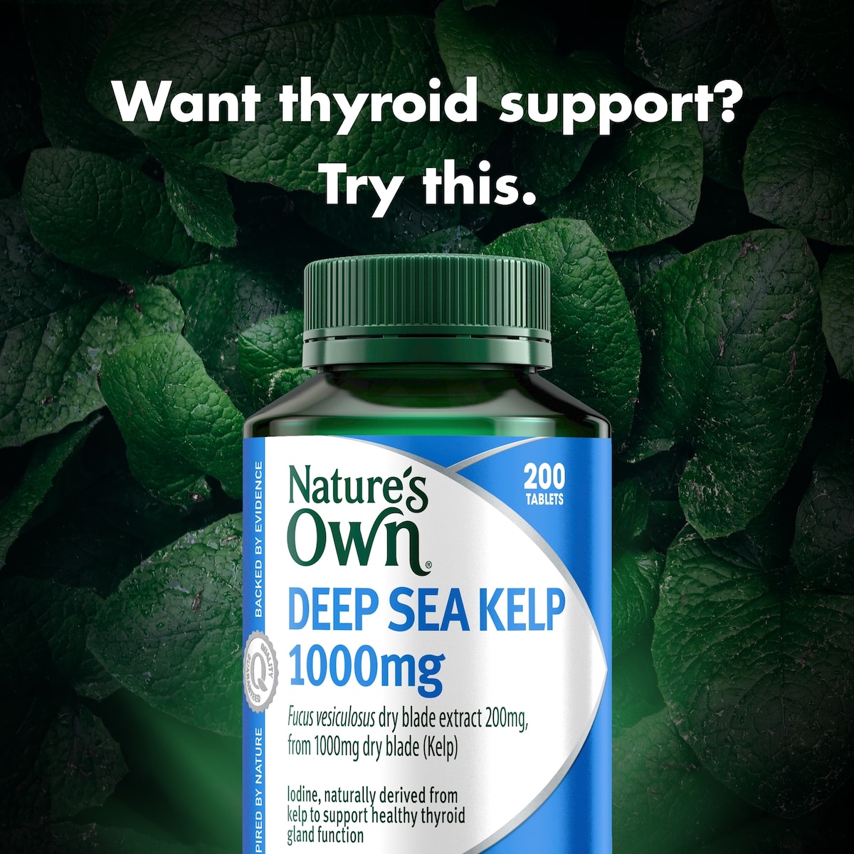 Natures Own Kelp 1000Mg 200 Tablets