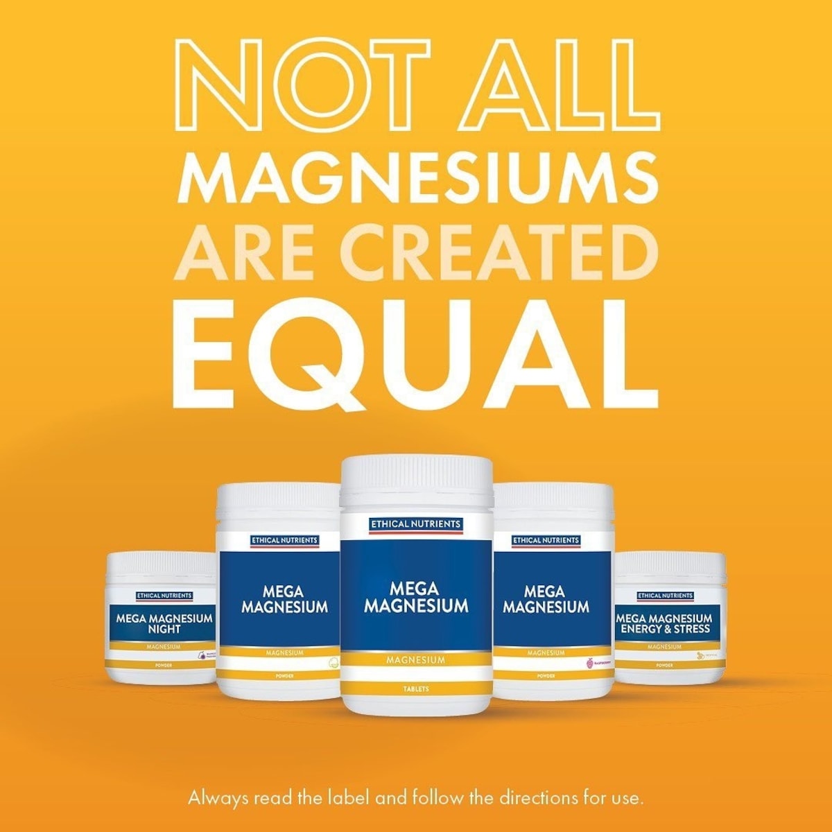 Ethical Nutrients Mega Magnesium 240 Tablets