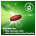 Pananatra Joint Pain Relief 30 Tablets