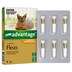 Advantage Kittens & Small Cats Up To 4Kg 6 Pack (Orange)