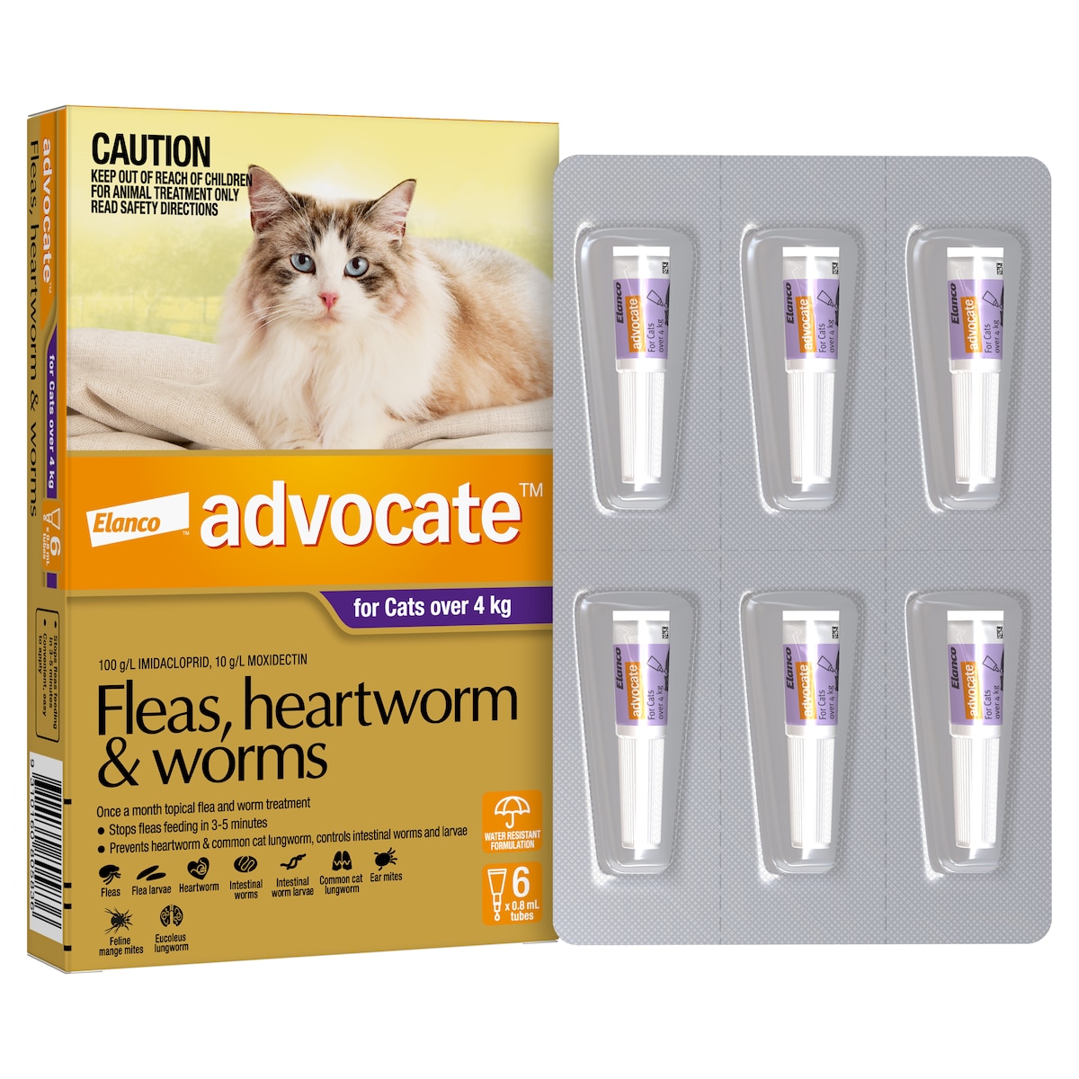 Advocate For Large Cats Over 4Kg Purple 6 Pack