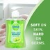 Dettol Hand Wash Lemon & Lime 250Ml