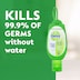 Dettol Instant Hand Sanitiser Refresh With Green Clip 50Ml