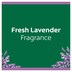 Cashmere Bouquet Lavender Talcum Powder 250G