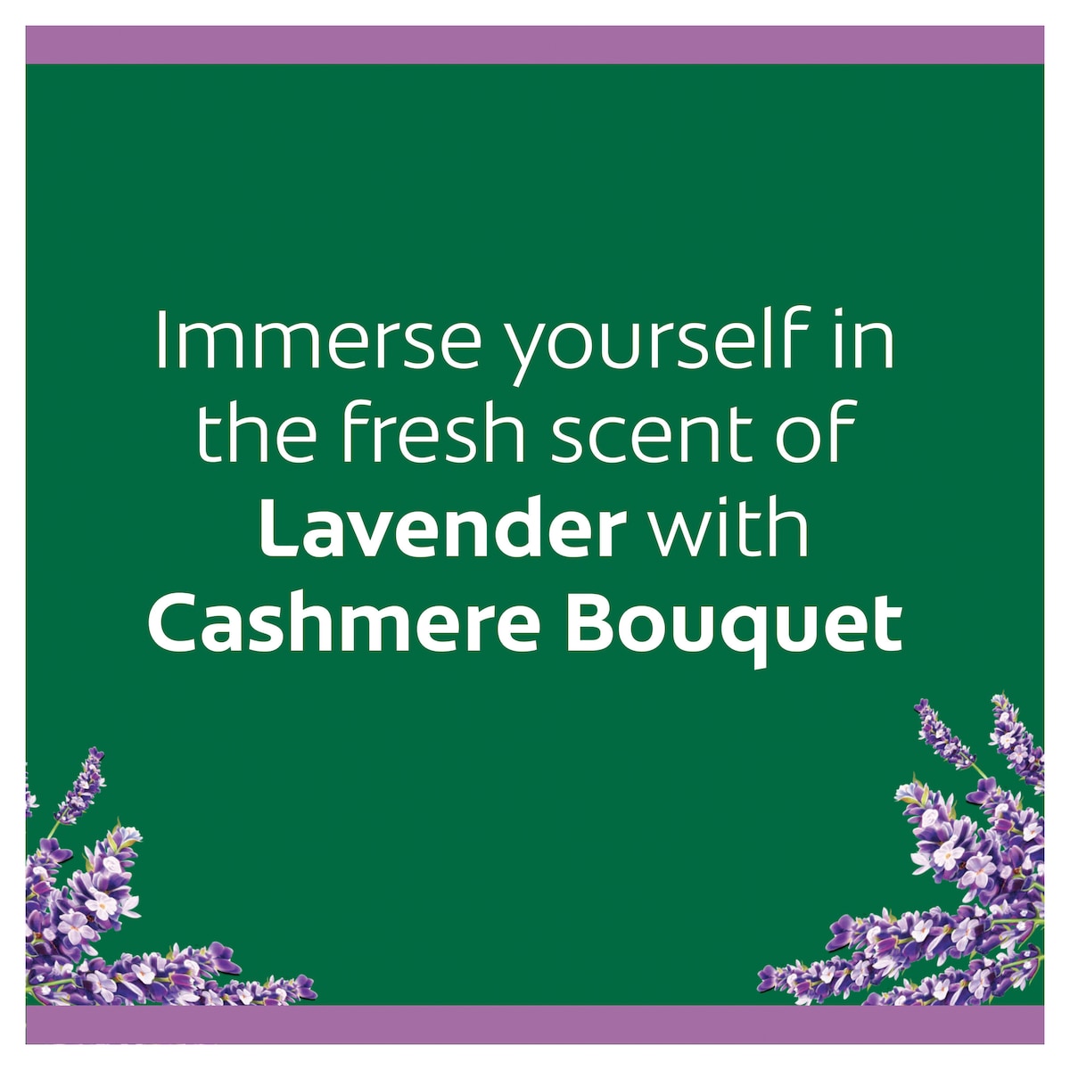 Cashmere Bouquet Lavender Talcum Powder 250G