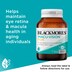 Blackmores Macu-Vision Plus 120 Tablets