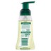 Palmolive Foaming Hand Wash Lime & Mint 250Ml